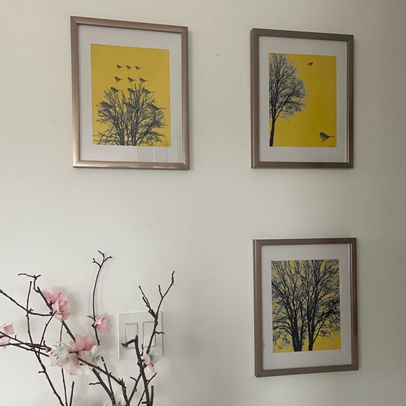 Set of three prints Canadian Sparrow IV V and VI - Picture 2 of 6